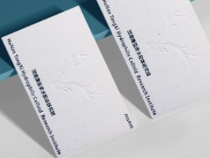 高档名片-臻萃加厚系列